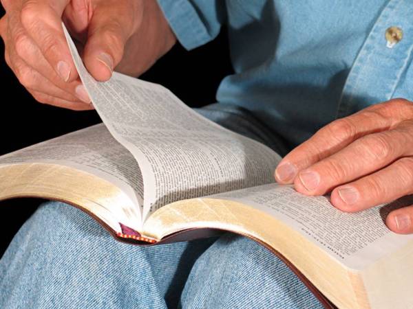 search the scripture