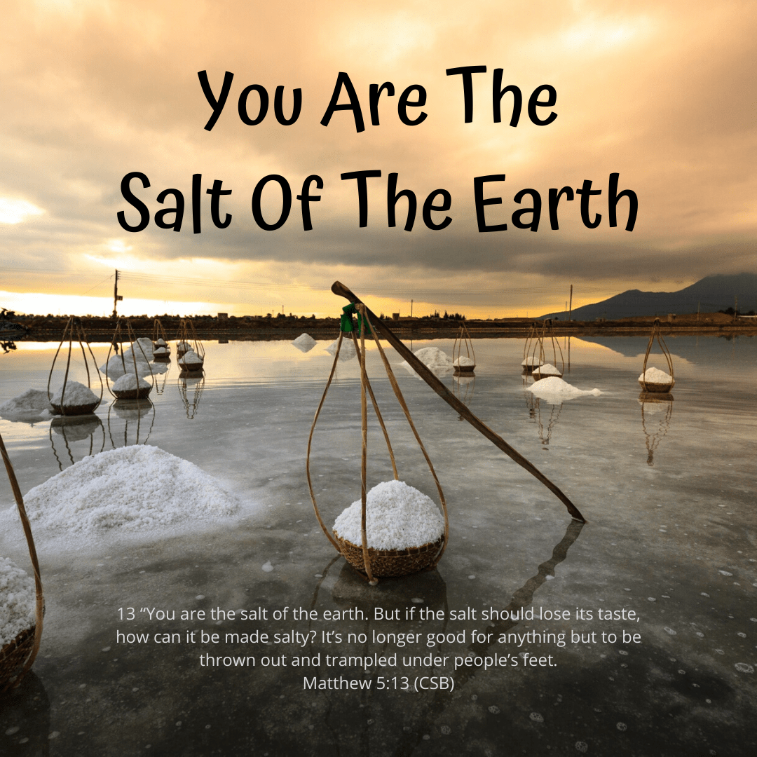 You are the salt of the earth